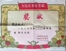 1985-1990年历史取得荣誉（二）